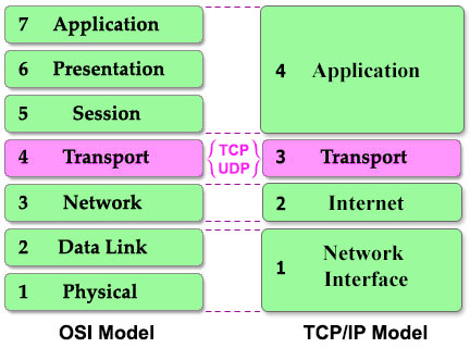 TCP and UDP in OSI